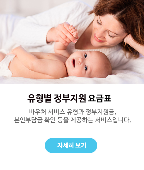 유형별 정부지원 요금표